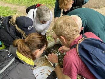 Six people kneel and stand beside a small stream, closely examining a tray of water samples. They use tweezers and an ID chart showing aquatic insects, surrounded by green vegetation and a dirt path.