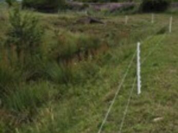 A grassy embankment with a white wire fence running diagonally through the scene. Beyond the fence, dense green vegetation fills a shallow ditch, and tall utility poles rise in the distance under a cloudy sky. The landscape feels open and rural, with a mix of wild plants and managed boundaries.