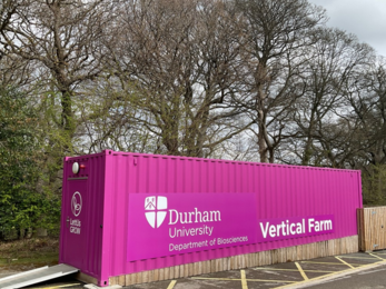 A bright magenta shipping container labeled “Durham University Department of Biosciences Vertical Farm” stands outdoors beside leafless trees. The container features the Durham University crest and a circular logo reading “LetUs GROW.” It sits on a paved area with yellow markings and a wooden fence to the right, representing a compact research facility for sustainable farming.