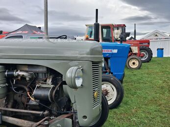 A row of vintage tractors displayed on a grassy field under a cloudy sky. The nearest tractor is grey with visible engine parts and a round headlight, followed by a bright blue tractor marked “5000” and a red Case tractor in the background. Event tents and canopies with logos are visible behind them, suggesting an agricultural show or machinery exhibition.