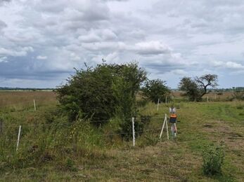 A wide grassy field under a cloudy sky with scattered bushes and small trees. White posts connected by thin wires form fenced sections across the landscape. Near the center, a tripod-mounted surveying instrument with an orange and gray top stands on a mown path, suggesting land measurement work in progress. The scene feels open and rural, with distant fields stretching toward the horizon.