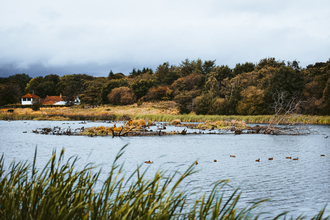 View across the lake at Low Barns