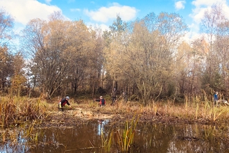 volunteers doing work in pond