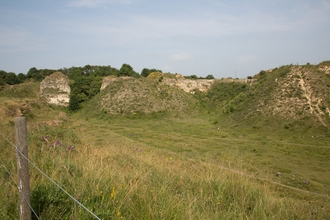 Bishop Middleham Quarry nature reserve