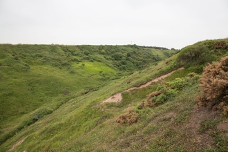 Blackhall rocks nature reserve