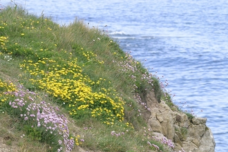 blackhall-rocks-cross-gill-nature-reserve