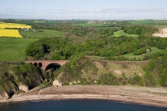 Hawthorn Dene Nature Reserve