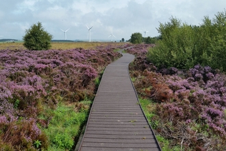 Hedleyhope Fell Nature Reserve