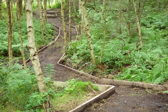High Wood Nature Reserve