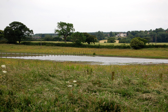 Lamesley Pastures Nature Reserve