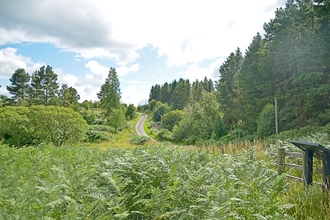 Longburnford Quarry Nature Reserve