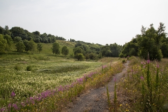 Raisby Hill Grassland Nature Reserve