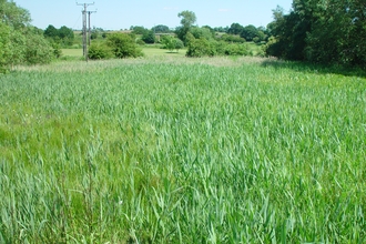 Redcar Field Nature Reserve