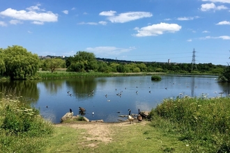 Shibdon Pond Nature Reserve