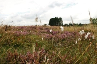 Stanley Moss Nature Reserve