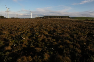 Stanley Moss Nature Reserve