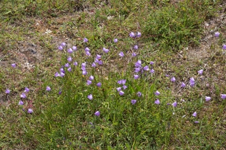 Trimdon Grange Nature Reserve