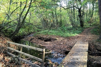 Tudhoe Mill Nature Reserve