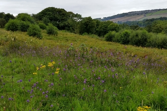 Westfield Pasture Nature Reserve