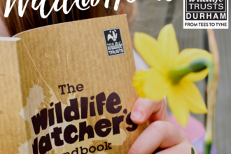 Child reading the wildlife watchers handbook 