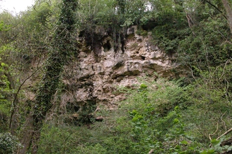 Heselden Dene Nature Reserve 