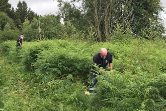 heart of durham volunteers bracken clearing