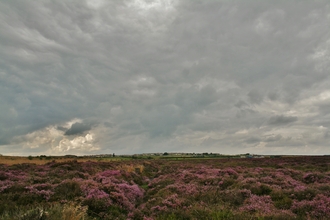 View of stanley moss nature reserve