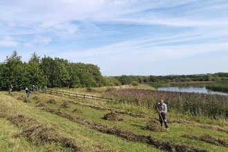 volunteers raking grass