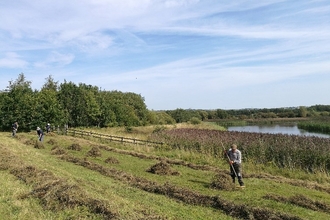 volunteers raking grass 