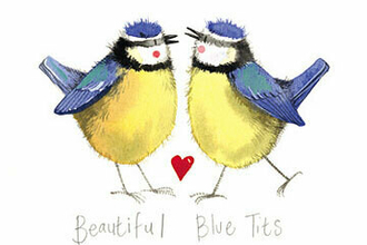 Blue tit card