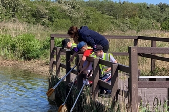 Pond Dipping Rainton Meadows