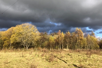 Low Barns Nature Reserve 