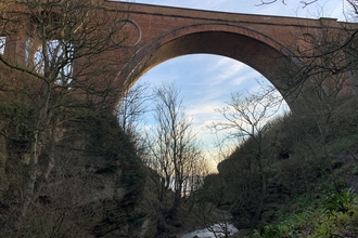 Viaduct at Hawthorn Dene Nature Reserve