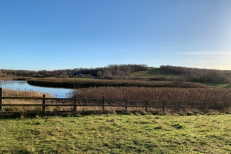 Running Wild Rainton pond 1