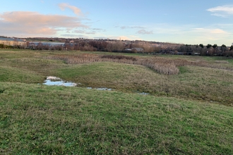Shibdon Meadow Nature Reserve
