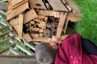 Little boy looking at bug hotel
