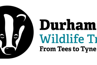 Durham Wildlife Trust logo for download