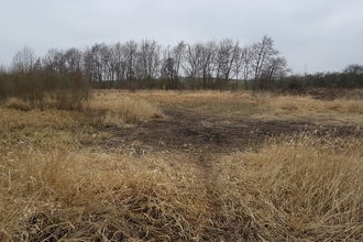 Bishop Middleham lake restoration.jpg