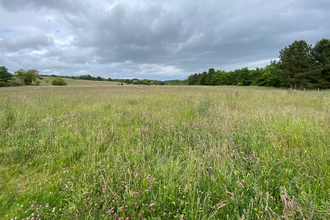 Meadow at Chopwell East Fields