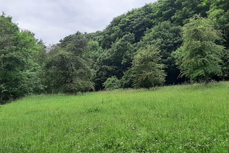 Ousbrough Wood Nature Reserve