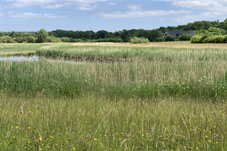 View over meadow to Rainton Meadows visitor centre