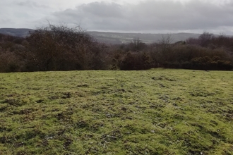 Smiths Lea (Beda Hills) view over field towards trees