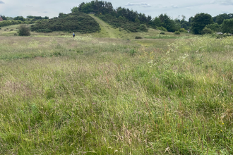 A view of Hill 60 Nature Reserve, looking across open grasslands towards a wooded hill