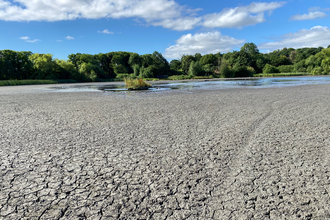 Shibdon Pond with low water