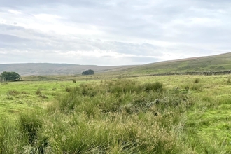 Rush pasture habitats landscape image