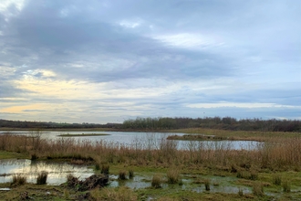 View over pond 2 at Rainton Meadows