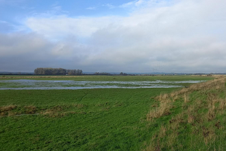 view over wetlands at Ricknall Carrs Nature Reserve