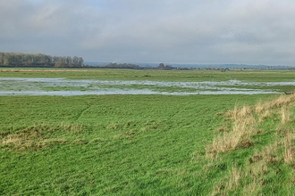 view over wetlands at Ricknall Carrs Nature Reserve