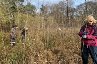 volunteers clearing scrub