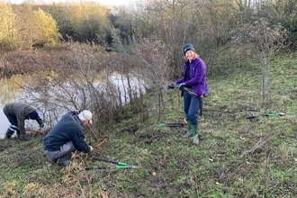 Volunteers clearing scrub around a pond